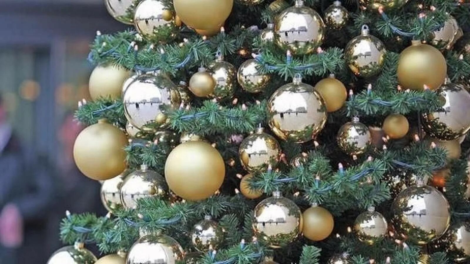 Зеленый золотой шары. Елка с шарами. Новогодняя елка с серебристыми шарами. Золотые шары на елку. Новогодняя елка.