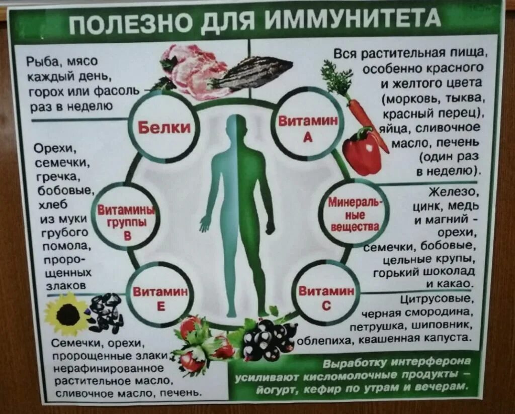 что отправляли югорчане для поддержания иммунитета. таблетки для иммунитета. сильный иммунитет. что отправляли югорчане для поддержания иммунитета. таблеткиждя иммунитета.