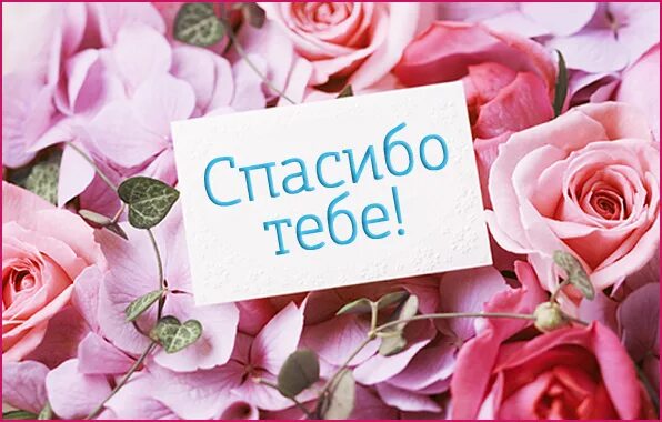 Спасибо тебе. Благодарю тебя надпись. спасибо тебе картинки. открытка спасибо тебе за все.