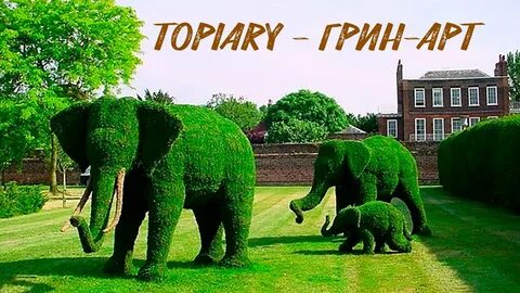 Животные в грине