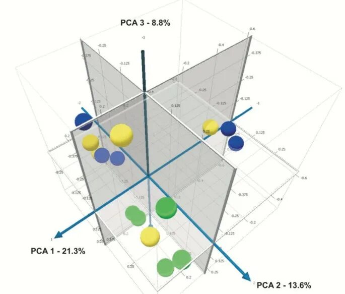 Pca components. Principal component analysis. pca метод главных компонент. pca analysis. метод главных компонент иллюстрация.