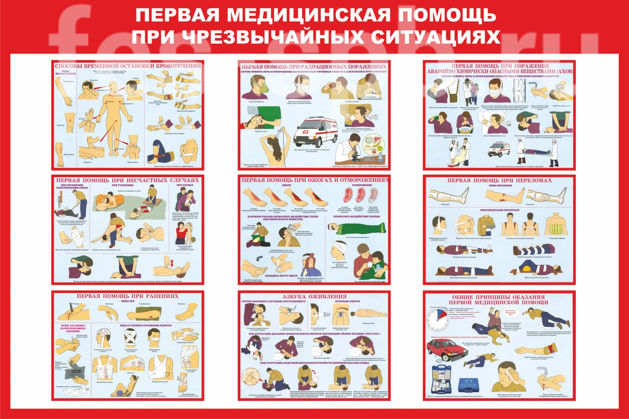 Алгоритм помощи пострадавшим при чс. Стенд го ЧС оказание первой медицинской помощи. Плакат оказание первой помощи. Плакаты по оказанию первой мед помощи. Плакат первая медицинская помощь.