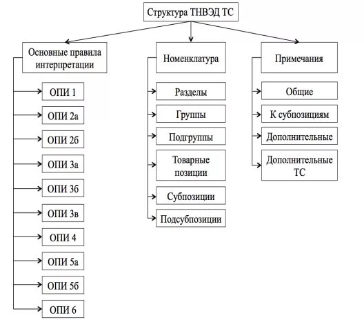 Структура номенклатуры тн ВЭД. Классификационная структура тн ВЭД ЕАЭС. Классификационная структура тн ВЭД. Структура построения тн ВЭД ЕАЭС. Таблица кодов тн вэд