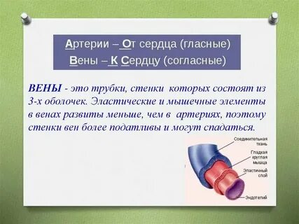 Стенки шарика более эластичные чем стенки бутылки