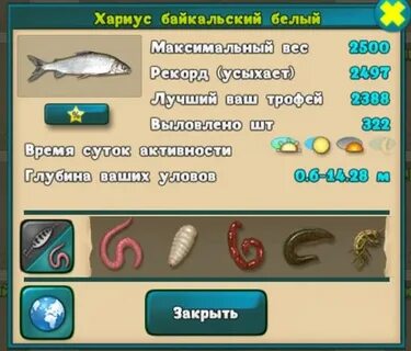 Белый байкальский хариус реальная рыбалка