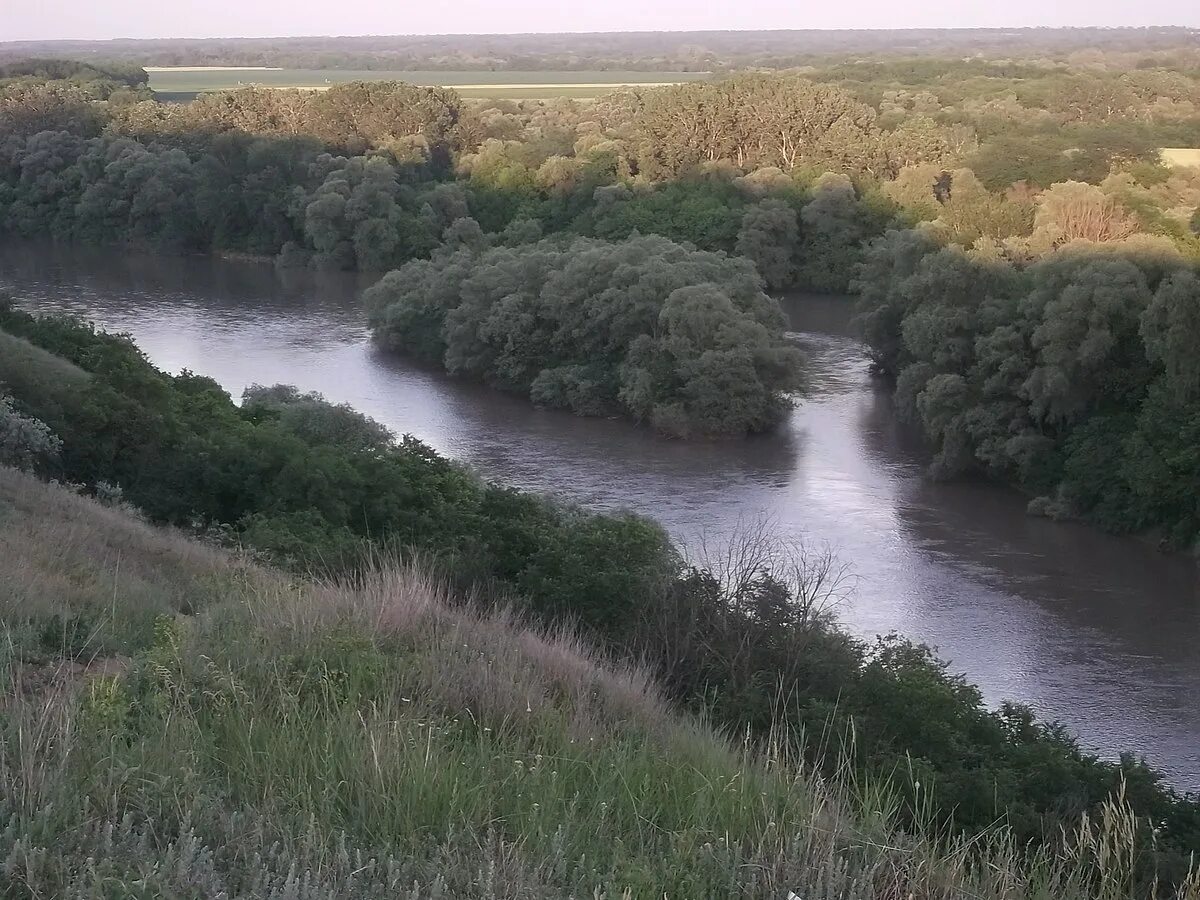 Станица Тбилисская река Кубань. Река Кубань станицы Тбилисской. Река Кубань в станице Тбилисской Краснодарского края. Кубань Косогор станица Тбилисская.