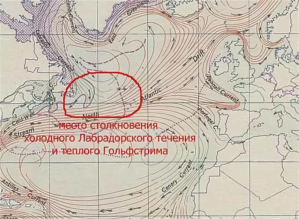 Теплые течения лабрадорское. Гольфстрим и Лабрадорское течение. Течения лабрадор и Гольфстрим. Лабрадорское течение на карте.