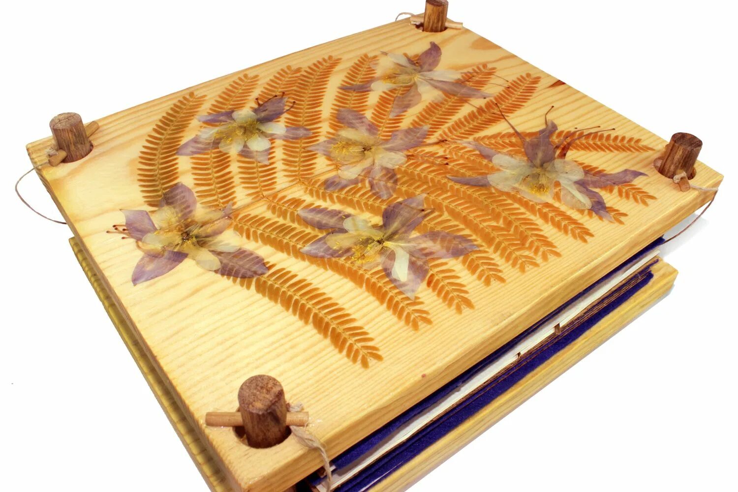 Plant press. Пресс гербарный сетка. Pressing plants. Пресс для гербария с сеткой. Пресс для гербария.