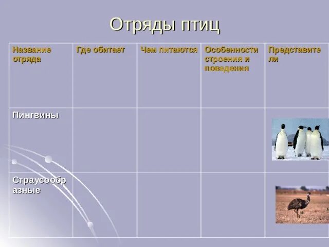 Отряды птиц таблица 7 класс биология. Отряд пингвины 7 класс биология таблица. Характеристика отрядов птиц.