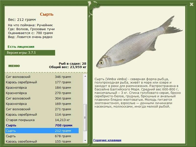 язь,густера плотва. русская рыбалка карп. таблица ловли в русской рыбалке. русская рыбалка 3 рыбы. русская рыбалка 3 база озеро золотой карась.