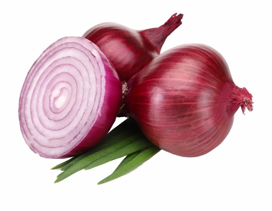 Red onion api download