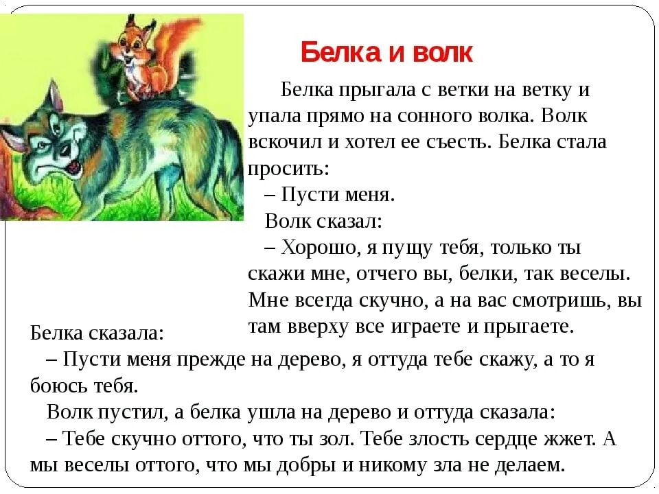 Рассказ для пересказа 3 класс. Басня л н Толстого белка и волк. Лев Николаевич толстой басня белка и волк. Рассказ Льва Николаевича Толстого белка и волк. Сказка Толстого л.н. волк и белка.