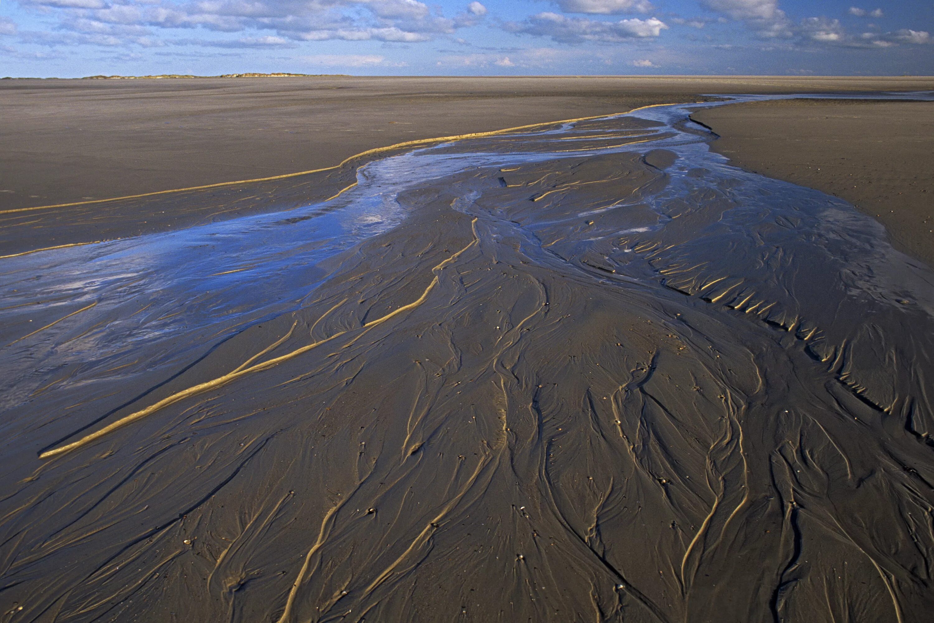 Гамбургское ваттовое море национальный парк. Ваттовое море северное море. Ваттовое море северное море. Национальный парк шлезвиг-гольштейнские ватты. Ваттовое море акватория северного моря.