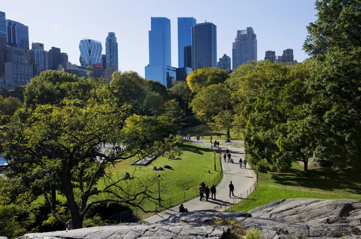 Сити парк в денвере. Центральный парк нью-йорк. Парк в нью-йорке. Центральный парк нью-йорк летом. Parks in large cities.
