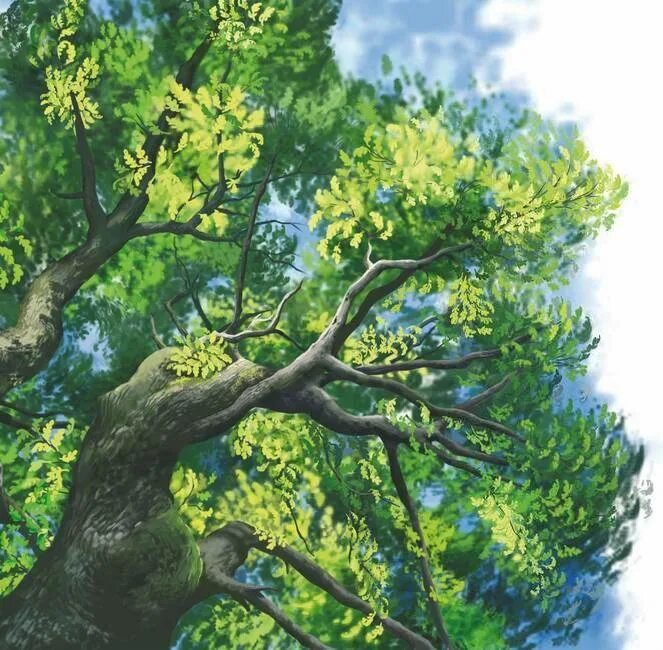 Дерево окружающий. Сказочный дуб. Дуб рисунок. Сказочное дерево дуб. Дуб зеленый.