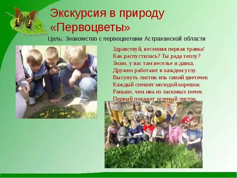 Конспект экскурсии природы