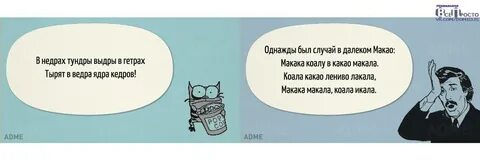 Тырят ядра кедров