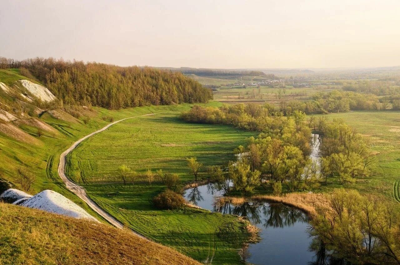 Красота района. Крапивенское Городище Белгородская область. Крапивенское Городище Шебекино. Природа Белогорье Белгород. Крапивное Шебекинский район.