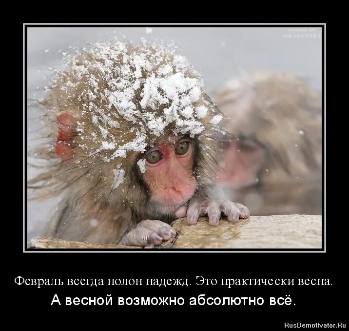 Абсолютно возможно. Великодушие и милосердие. Цитаты про февраль. В настоящей любви точки не бывает можно разойтись. Настоящая любовь цитаты.