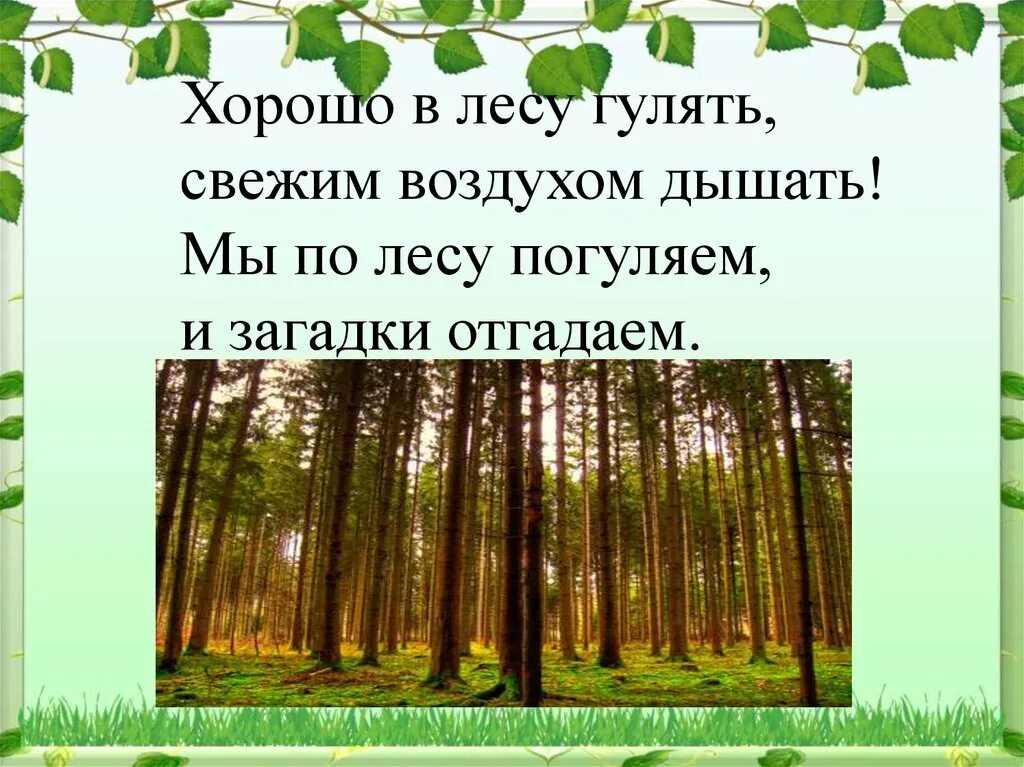 Презентация на тему лес. Лес для презентации для детей. Охрана природы леса. Выросла рябинка при дороге изложение. Тема охрана леса.