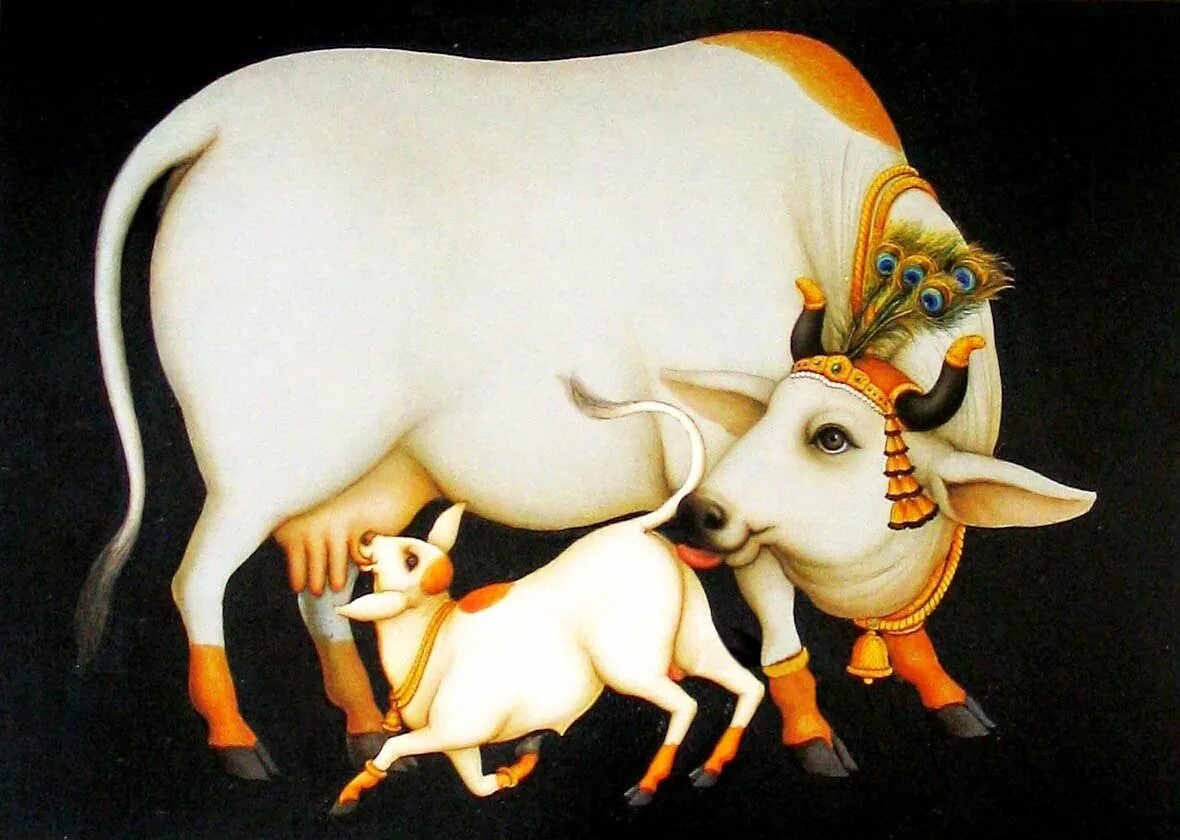 Корова в древности. Древняя Индия Священная корова. Сурабхи корова. Статуэтка Священная короаа СУРАДХИ белая. Индийская корова.