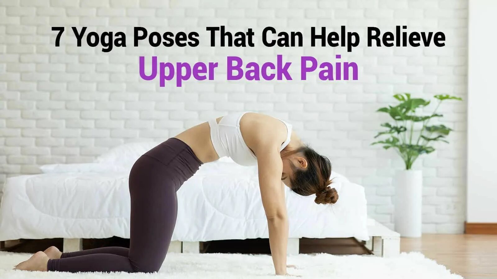 Help i need to stretch. Bel og&#039;rig&#039;i. help i need to stretch out. these 6 yogasanas will help you sleep at night by relieving stress.