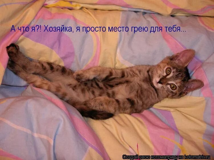 Греть место. Камин ноги. Грею место. Носки для всей семьи. Камин плед.