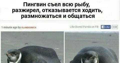 Отказался идти