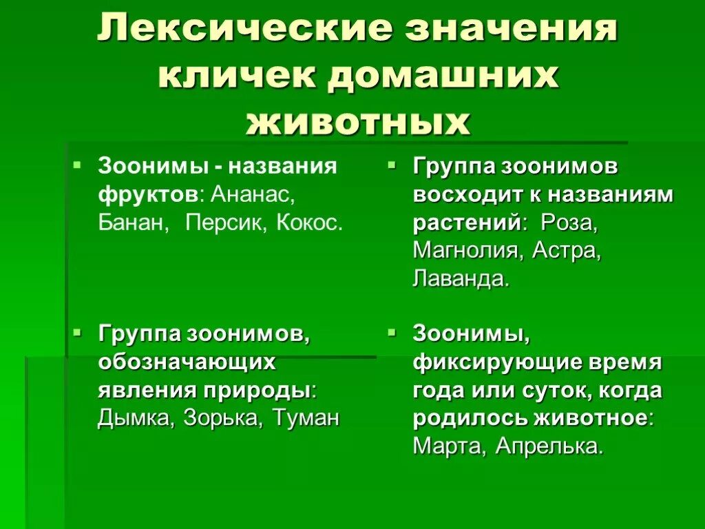 Зоонимы. Зоонимы примеры. Зоонимы в английском языке примеры. Презентация зоонимы.