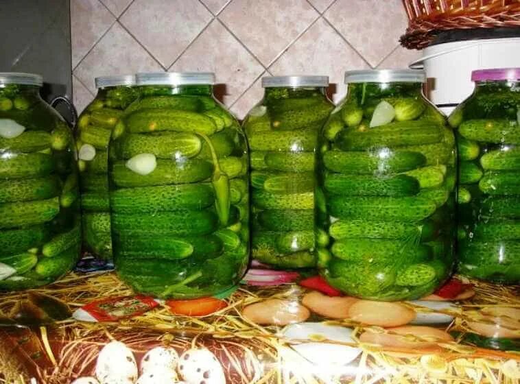 Как на зиму закрыть огурцы в банках. Огурцы на зиму. вкусные огурцы на зиму. закрутки огурцы. банки с огурцами.
