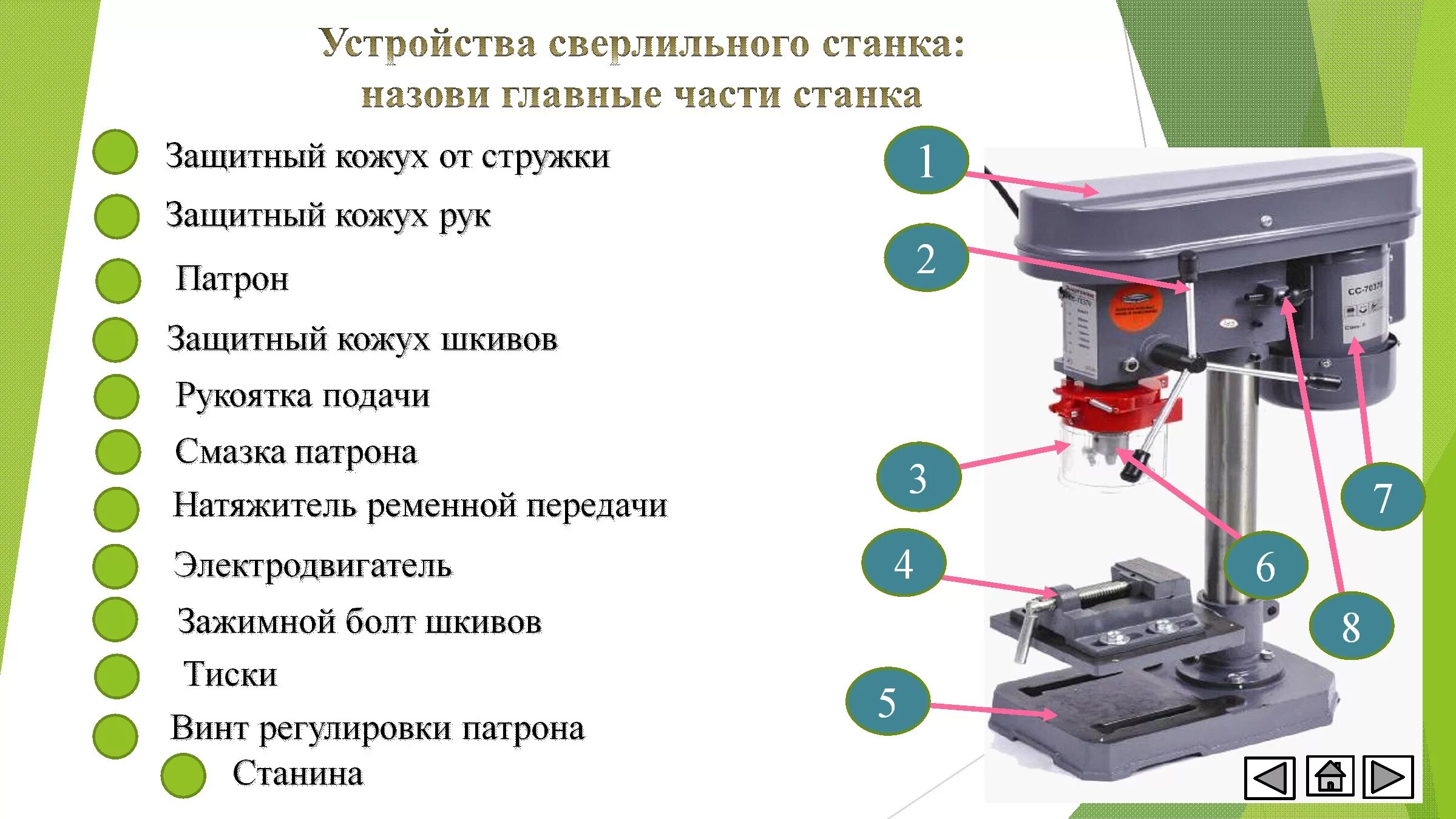 Сверлильный станок 5 класс технология. Сверлильный станок 6 класс технология. Основные части сверлильного станка. Сверлильный станок комплектация. Части лайн