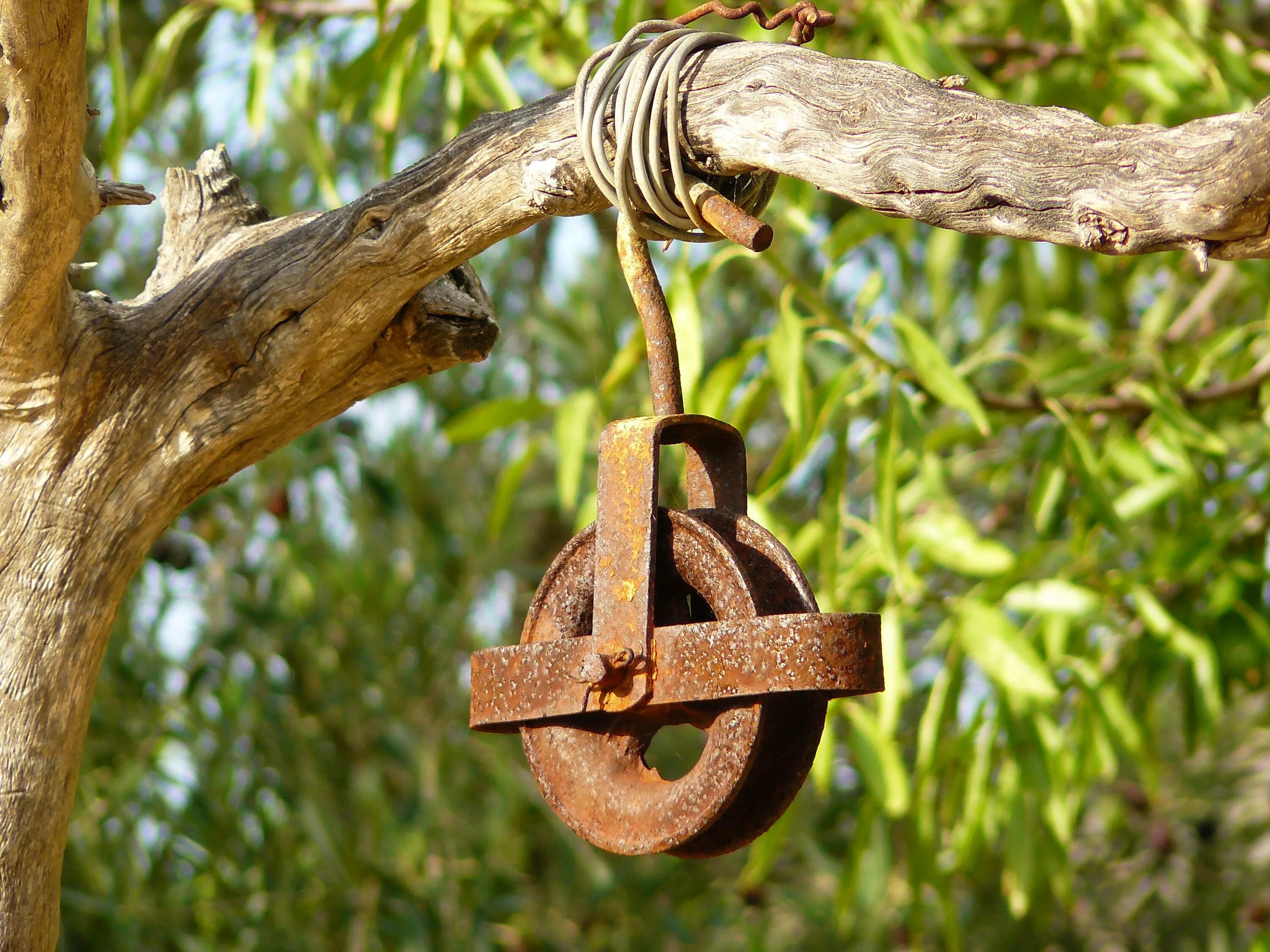 Tree fix