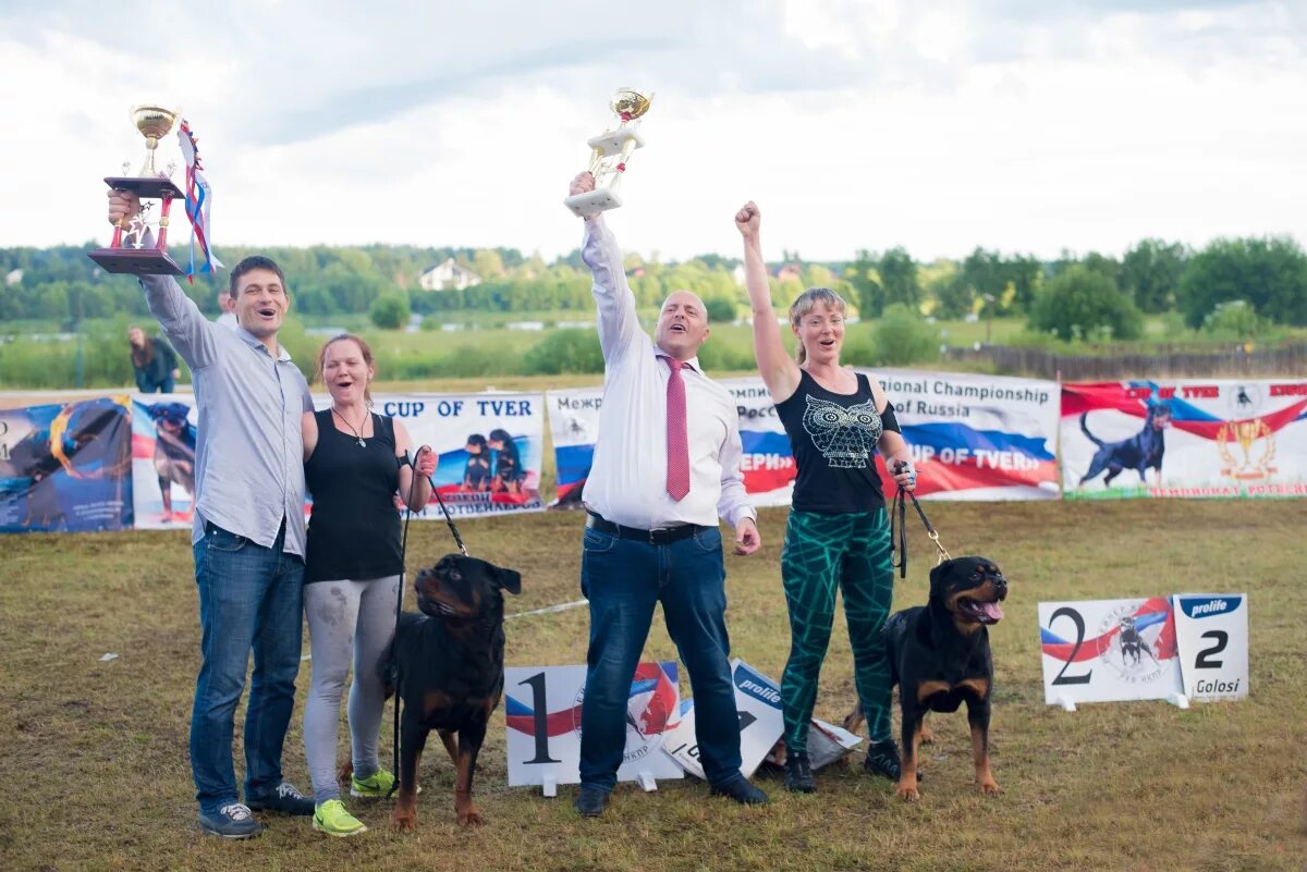 Выставка собак тверь. Фотограф на выставке собак Тверь. Ifr Чемпионат ротвейлеров.