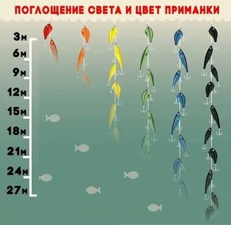 Видит приманку