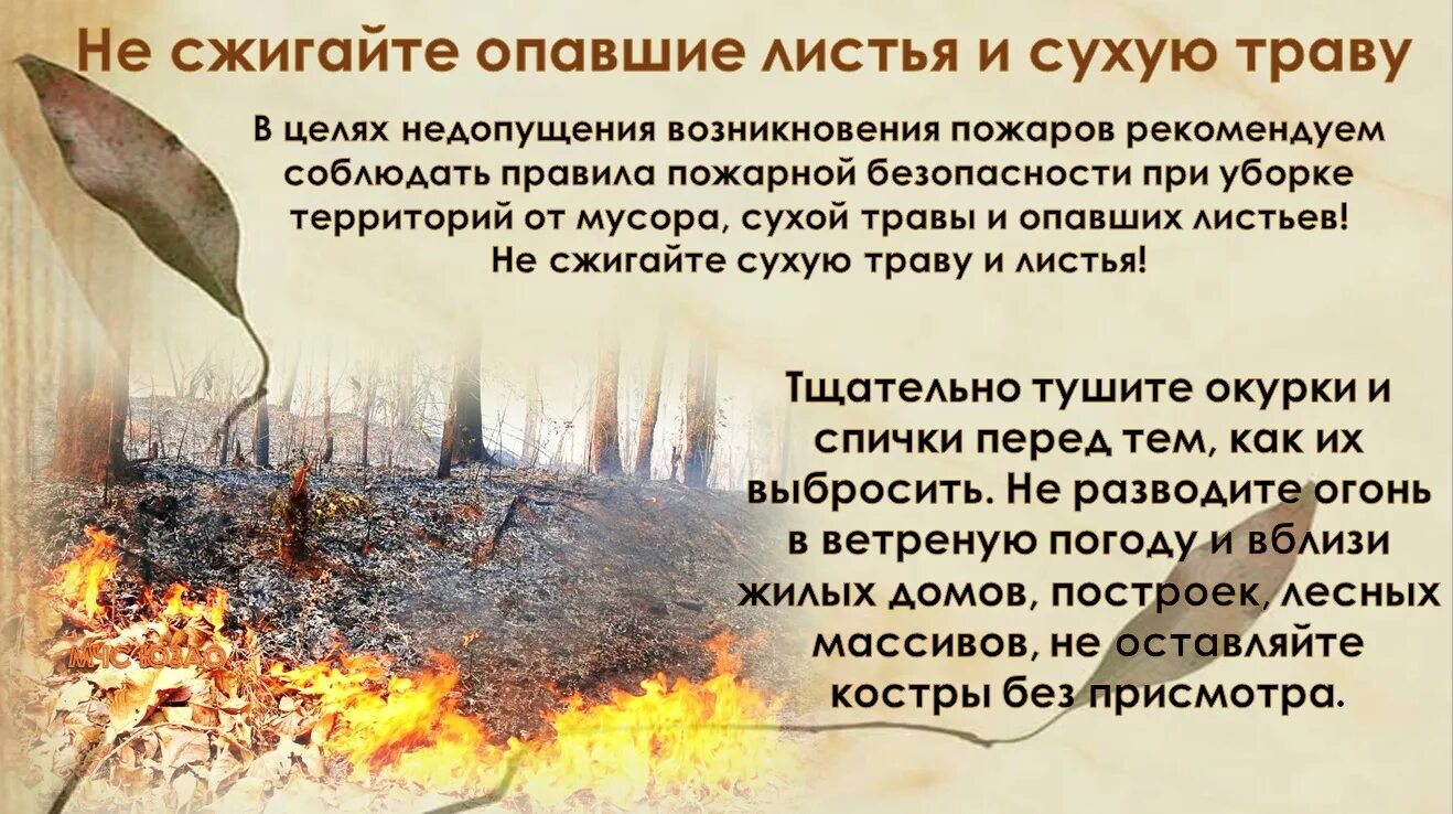 Почему весной запрещена. Не сжигать сухую траву. Сжигание листвы. Сжигание листьев и сухой травы. Поджигать сухие листья и траву;.