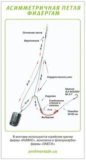 Асимметричная петля