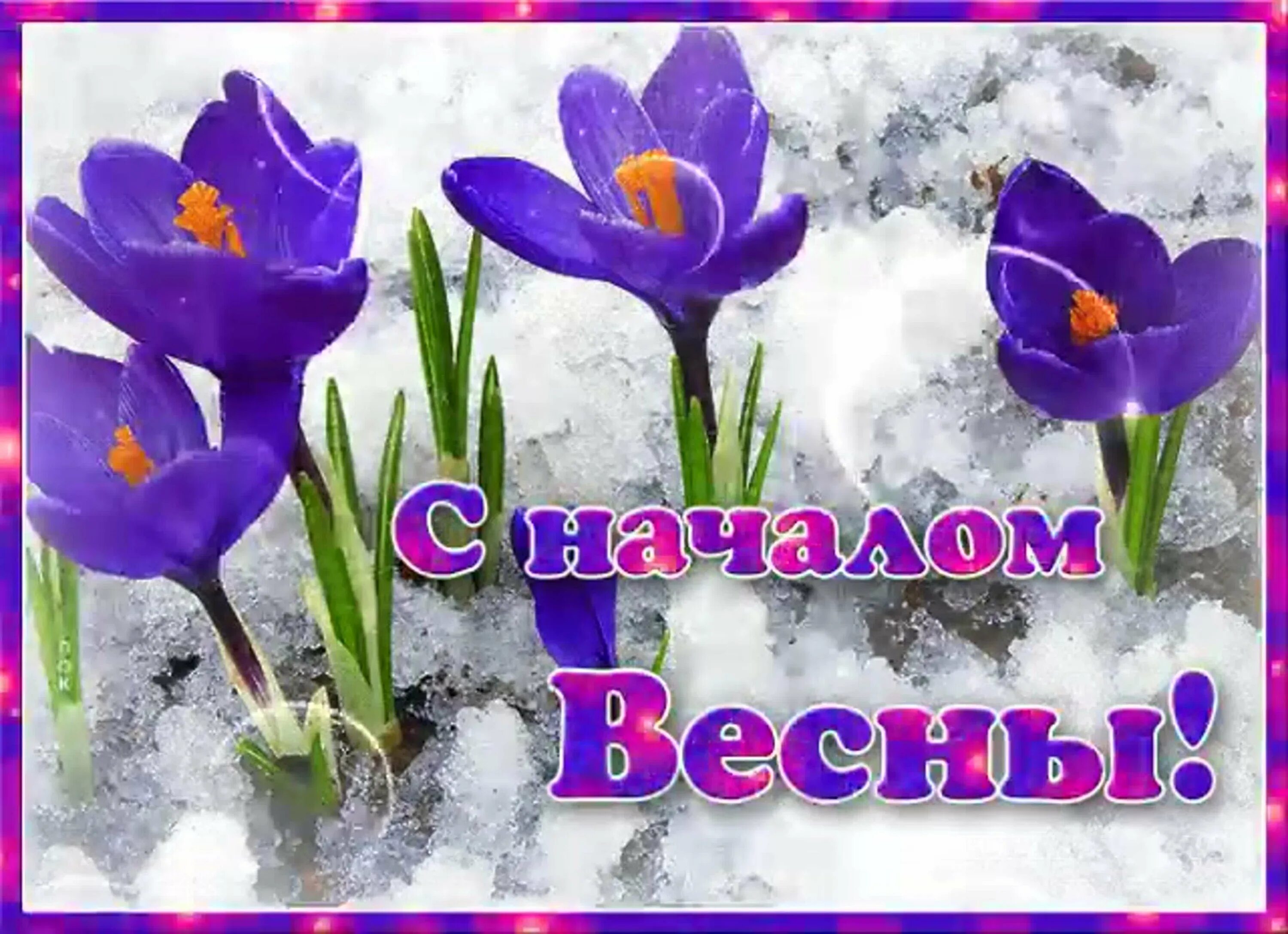 День весны на работе. Открытки с началом весны. С первым днем весны. С первым днем весны поздравления.