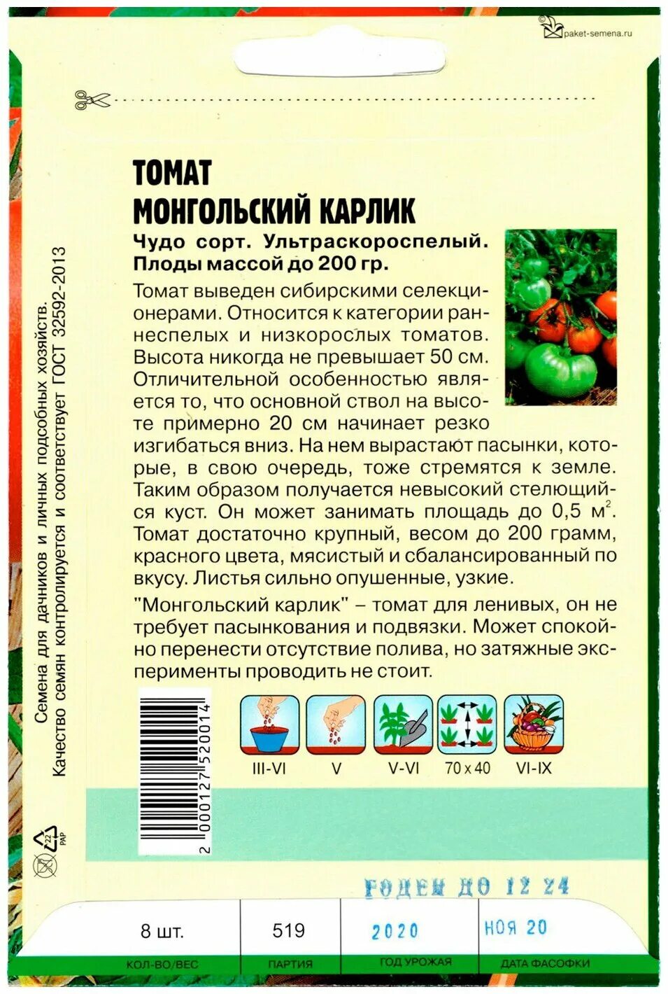 Семена томат Монгол карлик. Томат монгольский карлик семена.