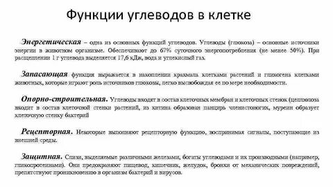 Углеводы 6 класс биология определение