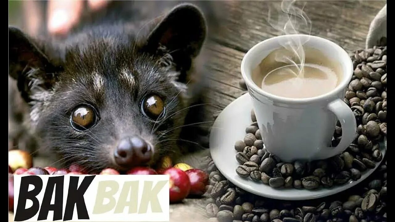 Five Coffee Mysteries the Bean’s Genes May Crack Smithsonian
