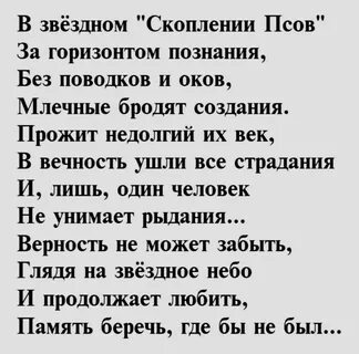 Соболезнования животным