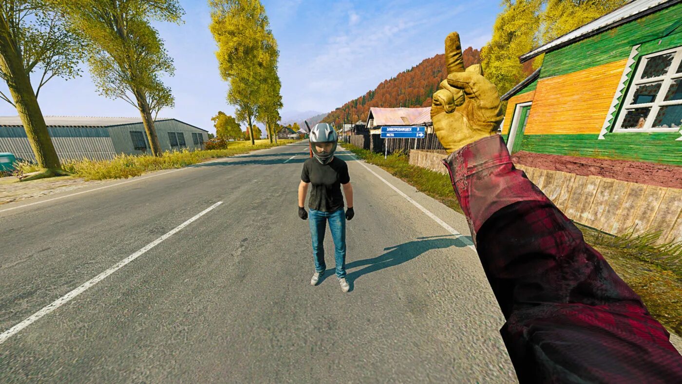 Вдали от жен dayz. Дэй зет. день зет игра. dayz скриншоты смешные. член в dayz.