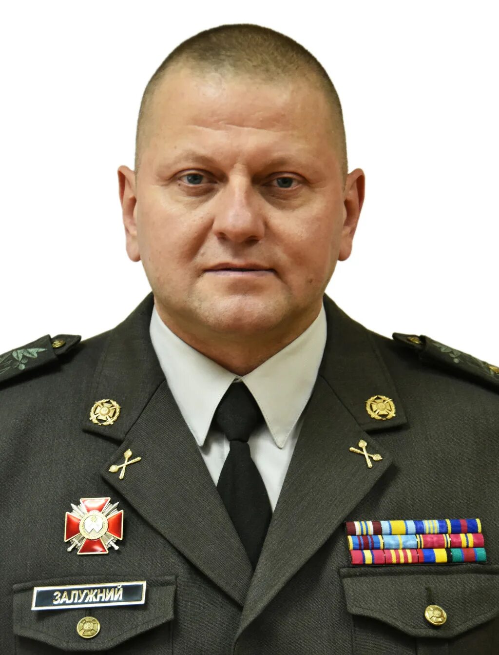 Валерием федоровичем залужным. Валерием федоровичем залужным