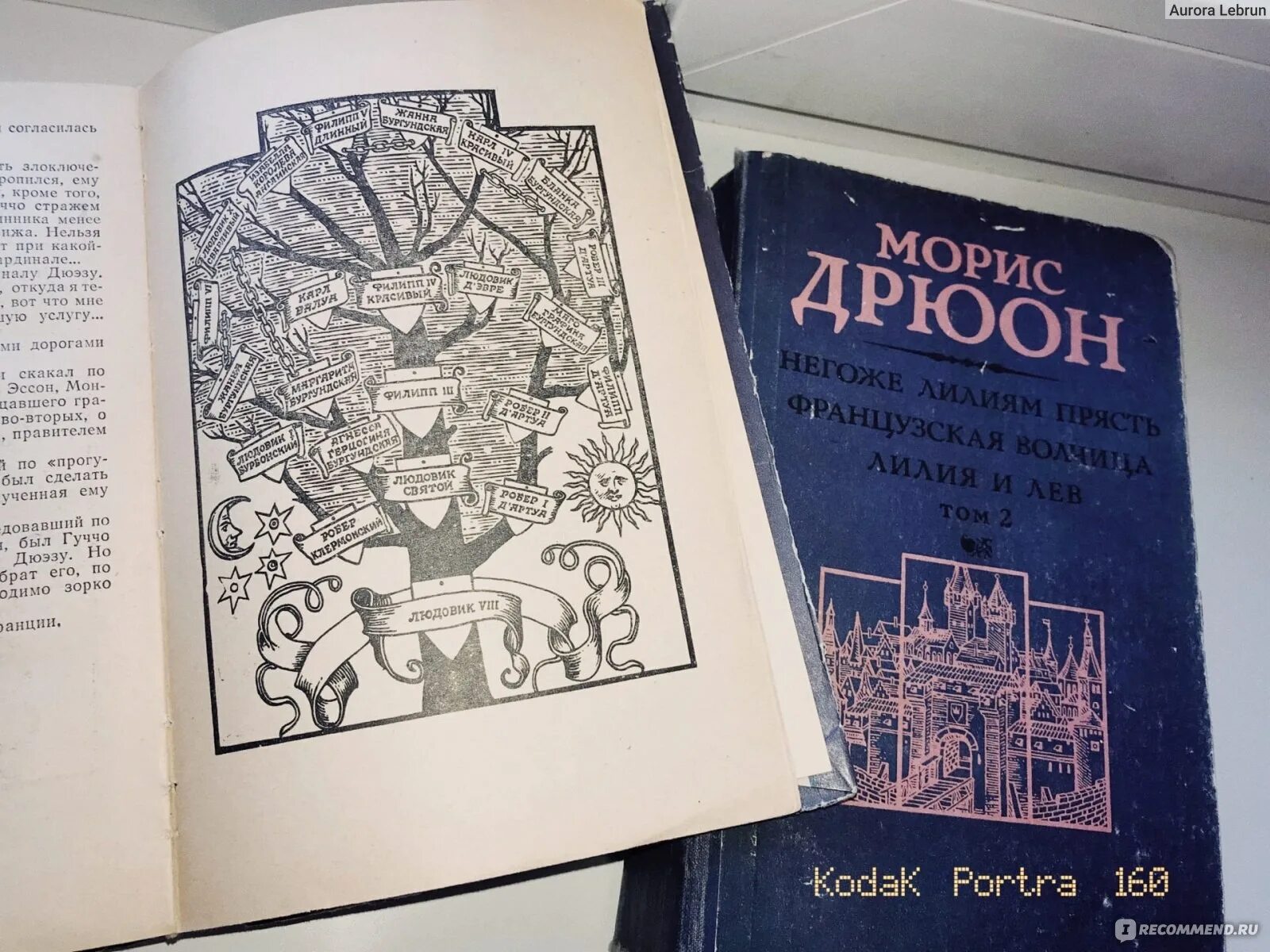 Морис книга отзывы. Дрюон проклятые короли. Дрюон Париж. Морис Дрюон проклятые короли генеалогическое Древо. Дрюон проклятые короли иллюстрации.