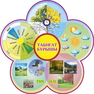 Үлкен бодибилдер әйелдердің порносы