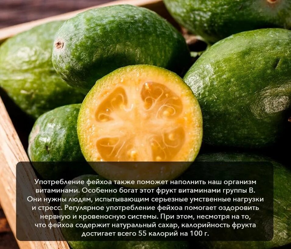 Фейхоа кбжу. Фейхоа фрукт. фейхоа фрукт витамины. фейхоа витамин c. чем полезна фейхоа.