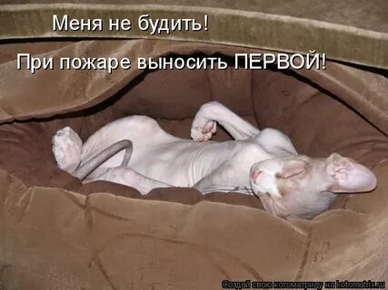 Пройти выносить