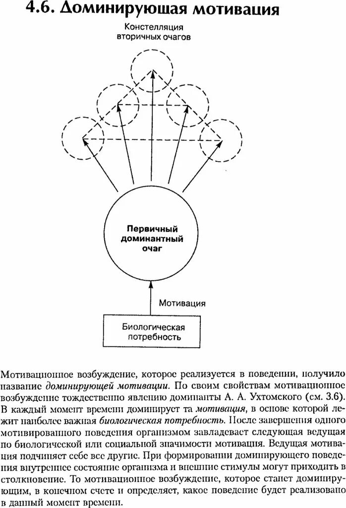 Доминирующие мотивы поведения. Доминирующая мотивация. Доминирующее мотивационное возбуждение. Система доминирующих мотивов.