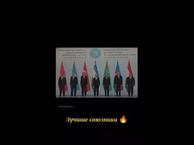Лучший союзник