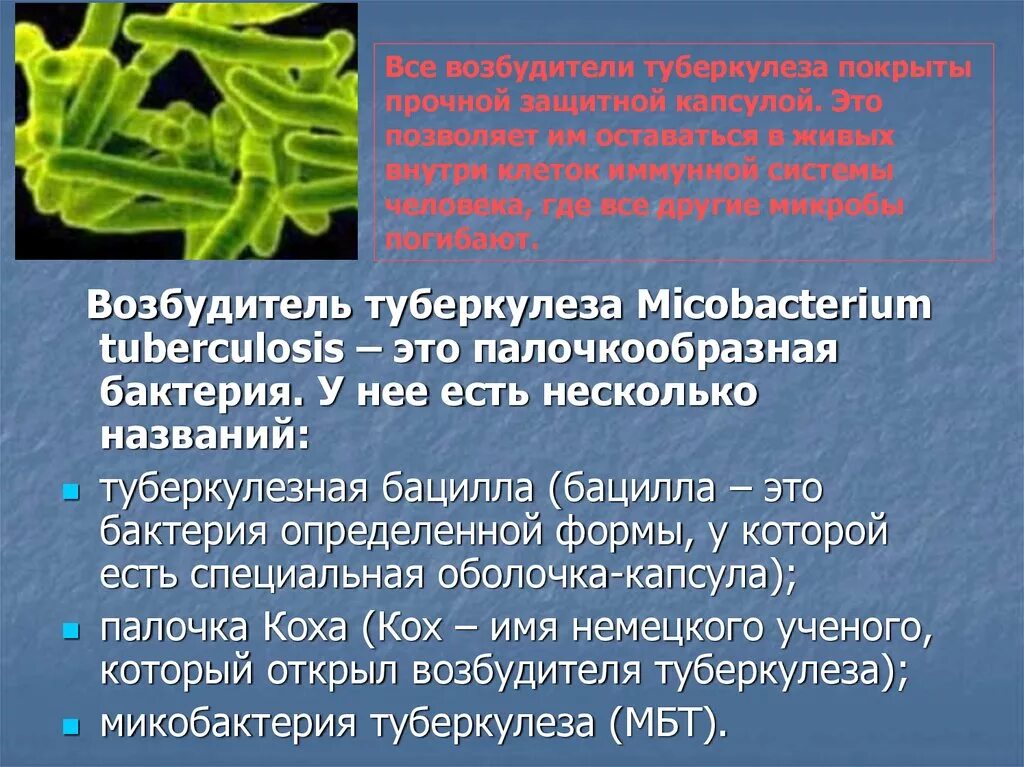 Возбудитель туберкулеза. Возбудителем туберкулеза является. Микобактерии туберкулеза являются. Туберкулёз возбудитнль.